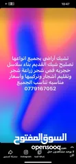  4 تشيك مزارع