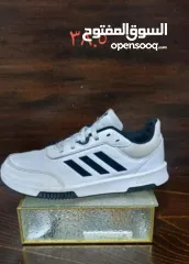  4 شروه احذية 60 جوز اصلي اوروبي منضف معقم جاهز للبيع