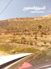  5 قطعة ارض للبيع تصنيف B كوشان طابو
