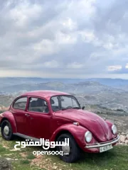  2 فولكس حبوشيت