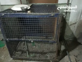  2 قفص دجاج ويصلح للكلاب