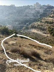  15 ارض واد الزرزير مطله وهادئه