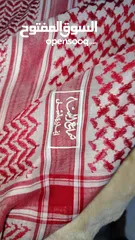  1 شماغ البسام انجليزي اصلي نظيف للبيع البيع مستعجل