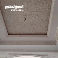  20 أعمال جبسيه