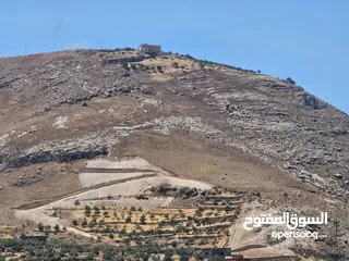 2 ارض للبيع في وادي شعيب
