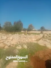  1 ارض للبيع في قريه الرمان