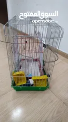  1 قفص ببغاء بحال الجديد