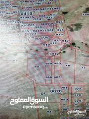  8 قطعة ارض للبيع في منطقة البحر الميت حوض العظيمي
