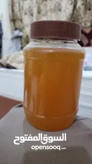  12 مناحل الشوافي لأجود أنواع العسل اليمني للتواصل