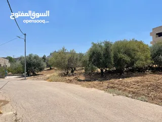  1 قطعة ارض سكنيه مميزه وبسعر مغري مغري مغري جدا من المالك مباشره