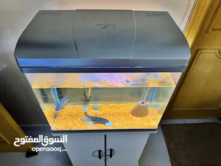  2 Fish tank for sale