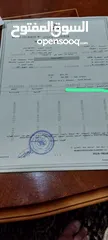  2 قطعة ارض سكني للبيع في الطفيلة - العيص