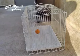  4 puppy with cage