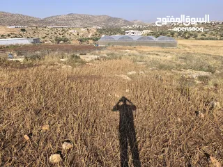  5 الارض مساحتها 1235