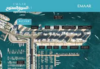  7 Emaar BeachFront - Beach Palace واجهة اعمار البحرية نخلة دبي