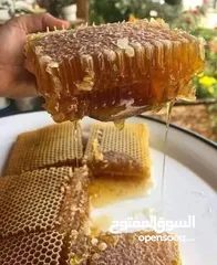  4 عسل 100/100مكفول