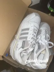  2 Adidas forum low