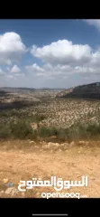  2 4 نمر ارض للبيع في منطقة خلابة قضاء رام الله من المالك مباشرة