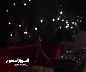  3 للإجار/  إضاءة زينة للاعراس وحفلات اعياد الميلاد وغيرها من المناسبات