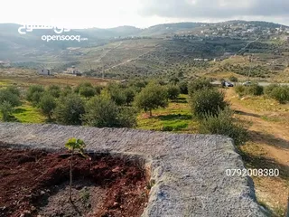  7 مزرعه مع بيت بناء حديث اجمل مرتفعات منطقه دحل