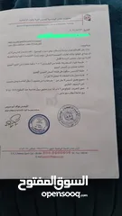  3 ارض 300 متر للبيع ماركا الجنوبيه
