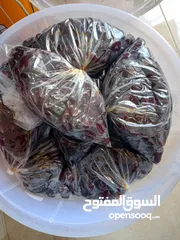  1 تمر فرض للبيع بالسطل