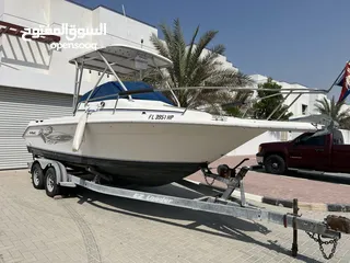  3 Fishing & pleasure SEARAY LAGUNA21