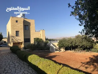  20 مزرعة مميزة و مطلة قرب نسيم الجبل-  ام العمد