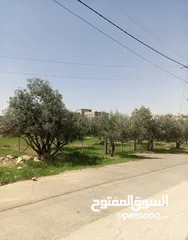  1 ارض في شفا بدران على شارعين للبيع من المالك مباشرة بأقل من السعر الإداري