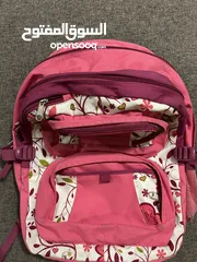  2 Jansport Pink Backpack