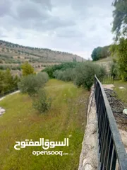  11 مزرعه مع 2 بيت ريفي مخدومه ماء وكهرباء مساحتها 4712