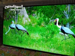  3 شاشه ماجيك 55 سمارت