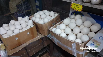  21 جميد كركي سمنه بلدي جبنة غنم