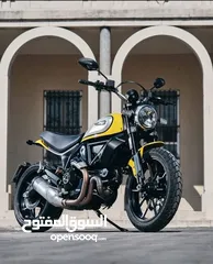  1 Ducati scrambler 803 ICON