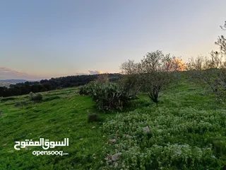  3 مشروع سلحب الاول