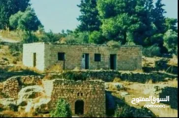  1 قطعت ارض في أم جوزه دنم و 23 متر (قابل  للتفاوض)موقع رائع الحجر مستورد من نابلس و انبا في 1950