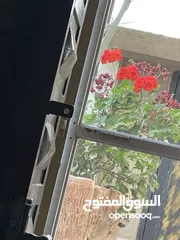  1 شقة للإيجار