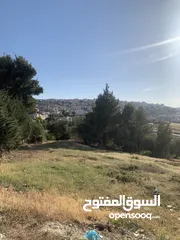  1 قطعه ارض مميزه في صافوط اراضي شمال عمان