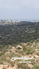  7 القبة الذهبية  شارع بلعا-دير الغصون