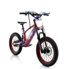  1 ebike EVO RACING RFN