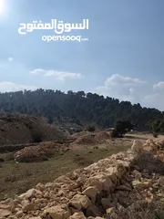  2 1600 متر للبيع في الصفا - حلحول
