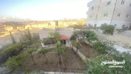  1 ارض مع بناء قائم