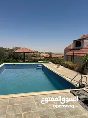  25 مزرعة 10 دونمات مع شاليه و مسبح للبيع