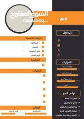  5 صمم سيرة ذاتية احترافية بأرخص الاسعار باللغتين العربية والإنجليزية