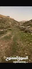  2 ارض للبيع بمدينه الخليل دورا