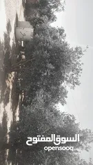  1 منزل للبيع