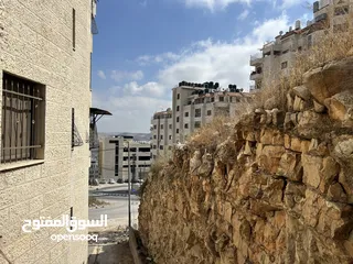  1 شقة مفروشة للاجار