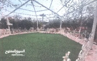  1 برسيم للبيع
