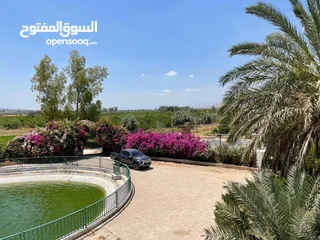  7 مزرعه في الغور الشمالي،الاردن مساحة المزرعه 15000 م2 مطله على فلسطين