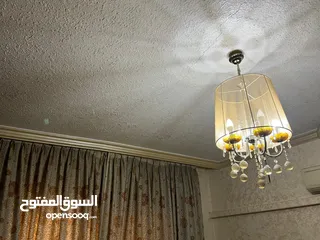 16 شقة طابق أرضي في أرقى مناطق أبونصير